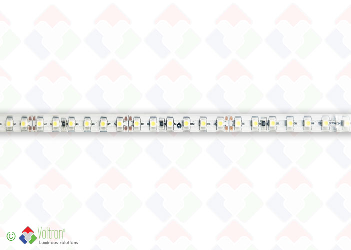 Ruban led : 120 led par mètre SMD3528 - PREMIUM VERSION/PV-3528-120-DW-54-24V by Voltron Lighting Group