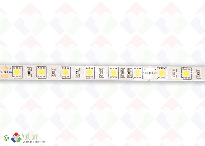 Led strip : 60 led par meter SMD5050 -PREMIUM VERSION/PV-5050-60-DW-20-24V by Voltron Lighting Group