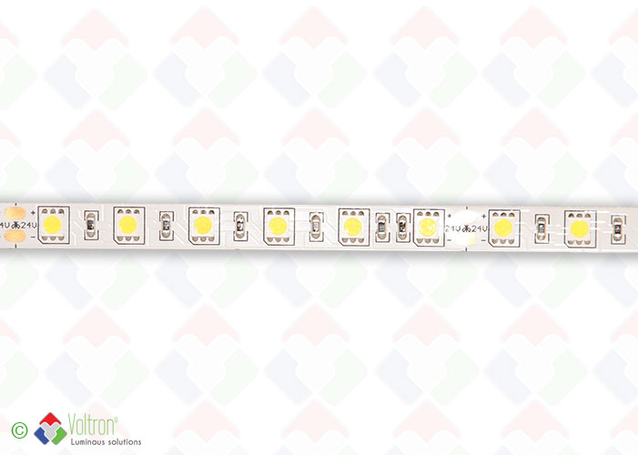 Ruban led : 60 led par mètre SMD5050 - PREMIUM VERSION/PV-5050-60-DW-20-24V by Voltron Lighting Group