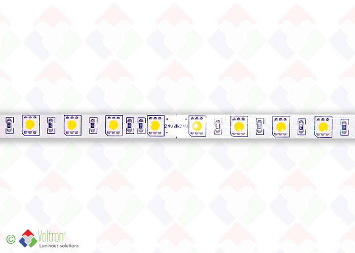 Ruban led : 60 led par mètre SMD5050 - PREMIUM VERSION/PV-5050-60-WW-20-24V by Voltron Lighting Group